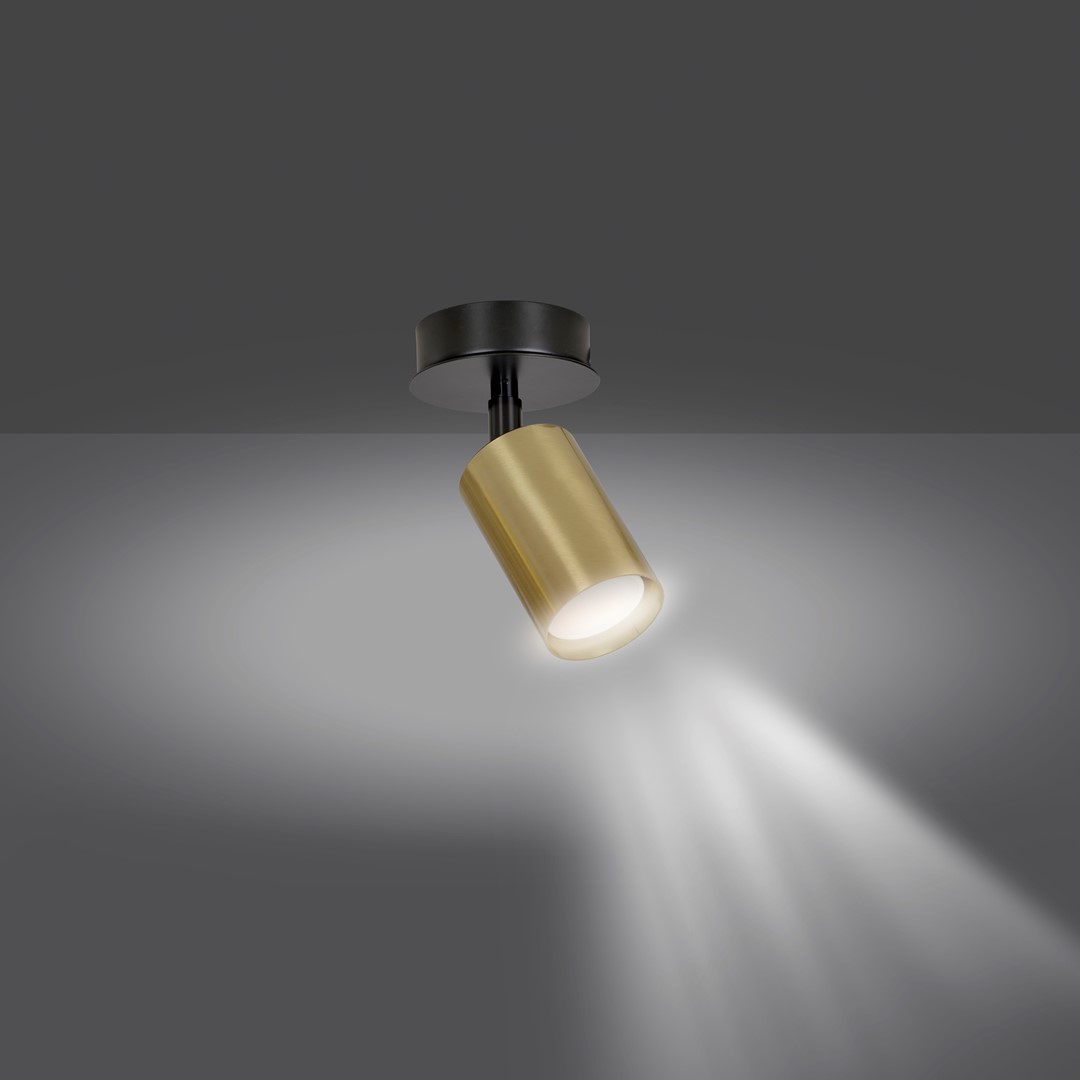 Emibig Stropna svjetiljka ZEN 230V 10W MAX LED GU10 Čelik Crna