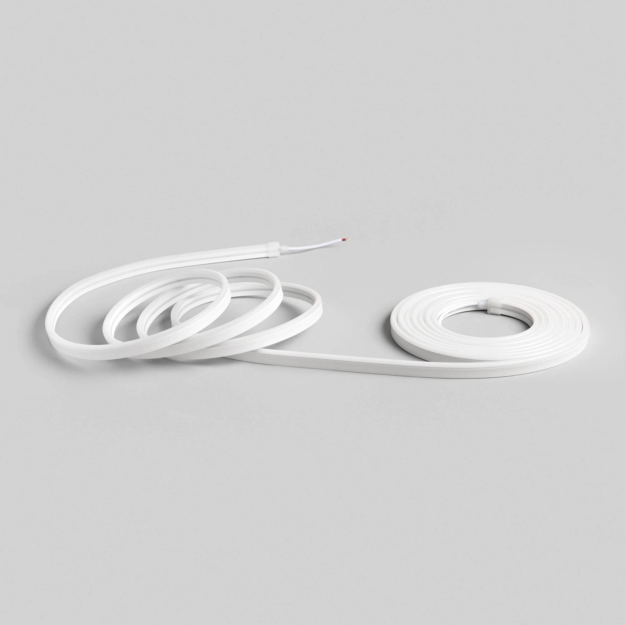 Intec LED traka 12W/m 5m IP65 Silikon Zelena