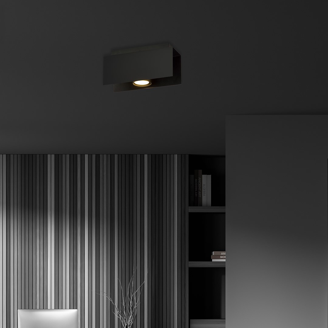 Emibig Stropna svjetiljka KENNO 230V 10W MAX LED GU10 Čelik Crna