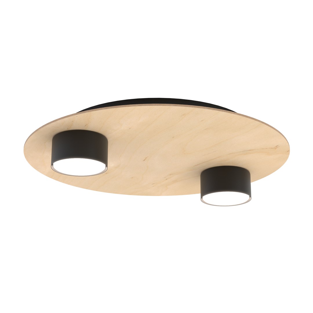 Emibig Stropna svjetiljka PIXO 230 V 12W MAX LED GX53 Čelik/ Šperploča Crna