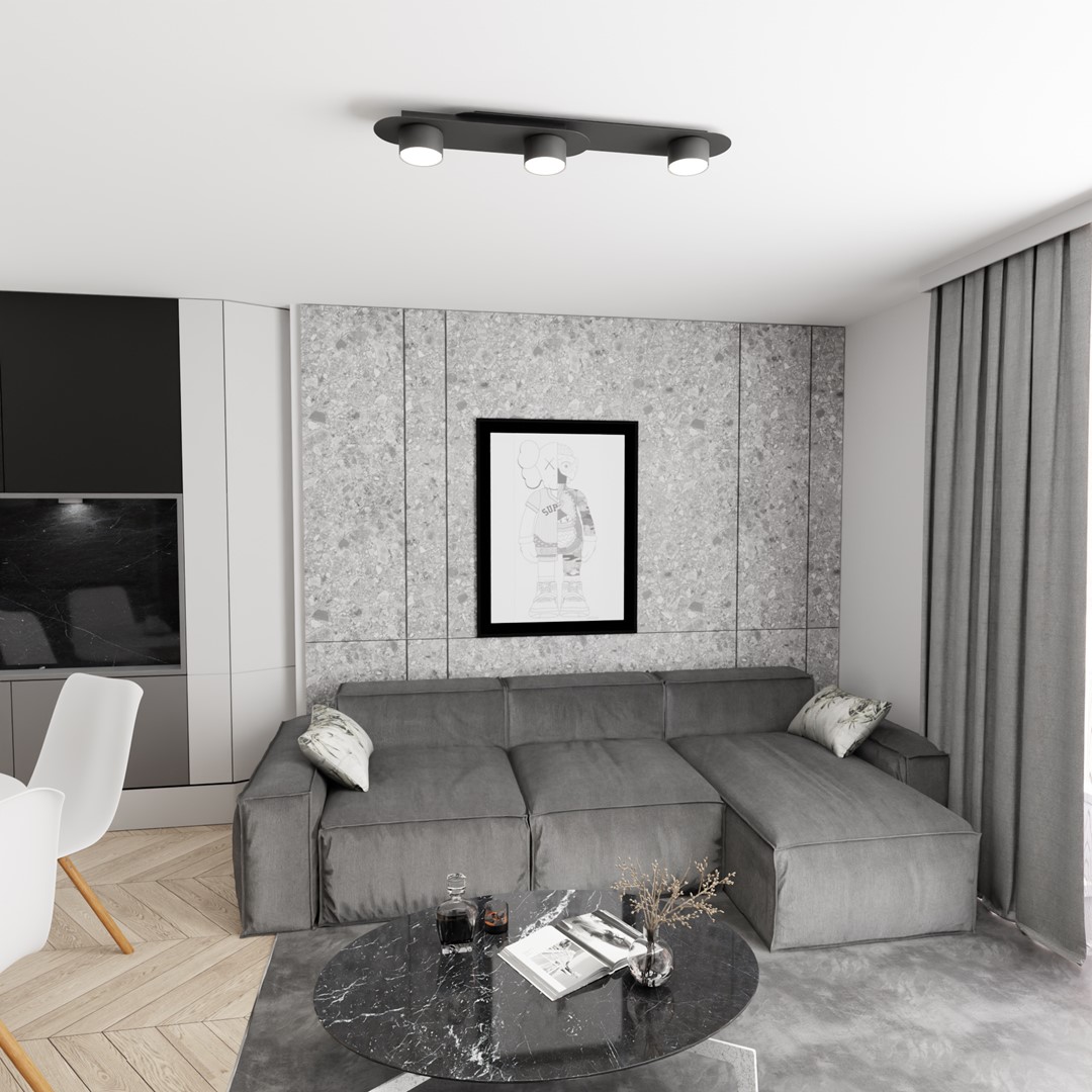 Emibig Stropna svjetiljka STILO 230 V 12W MAX LED GX53 Čelik Crna