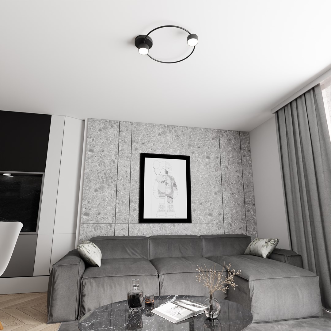 Emibig Stropna svjetiljka LUCIO 230 V 12W MAX LED GX53 Čelik Crna