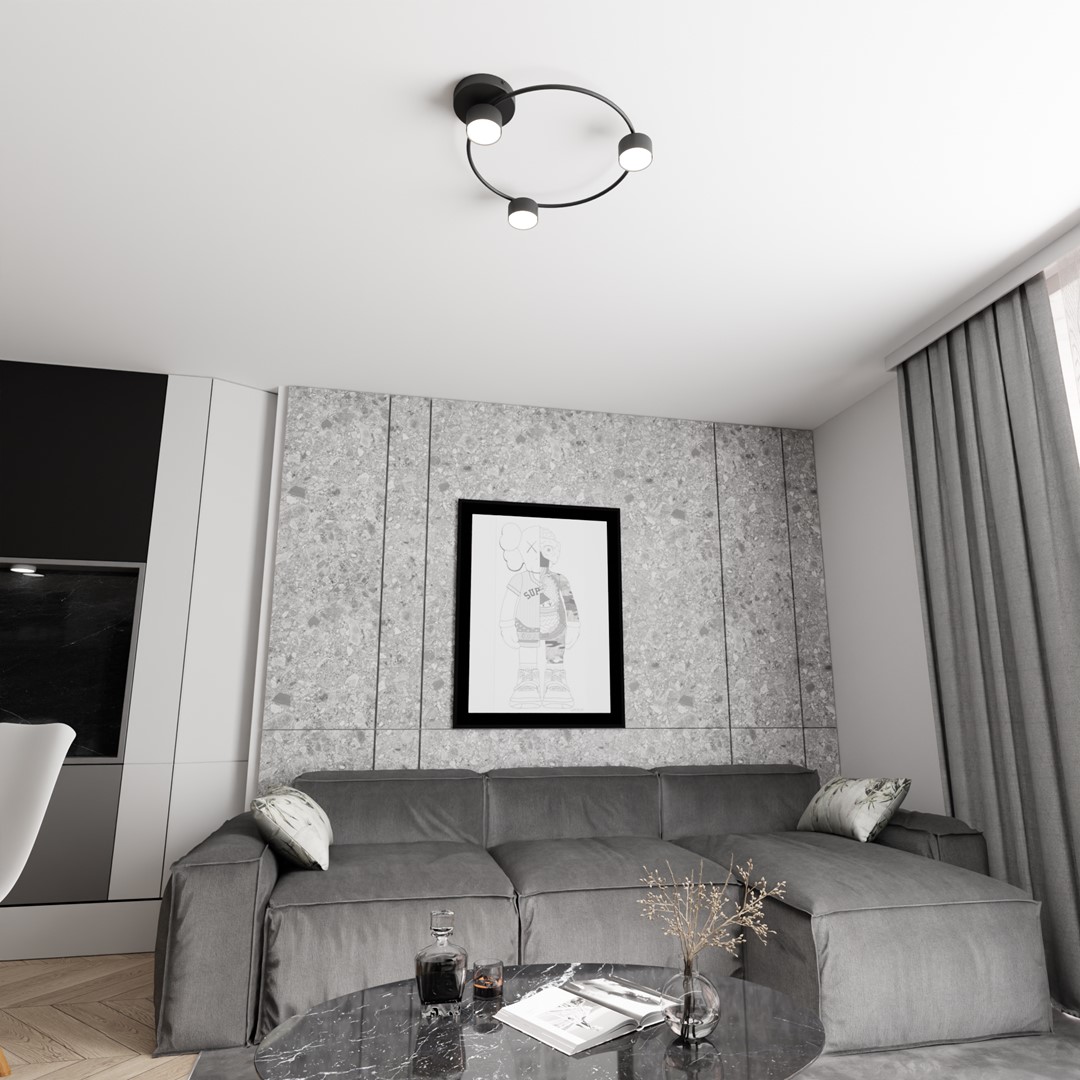 Emibig Stropna svjetiljka LUCIO 230 V 12W MAX LED GX53 Čelik Crna
